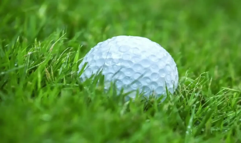 does humidity affect golf ball distance how does humidity affect golf ball distance? does high humidity affect golf ball distance how much does humidity affect golf ball distance humidity and golf ball distance golf ball distance and humidity humidity and golf ball flight humidity and golf balls